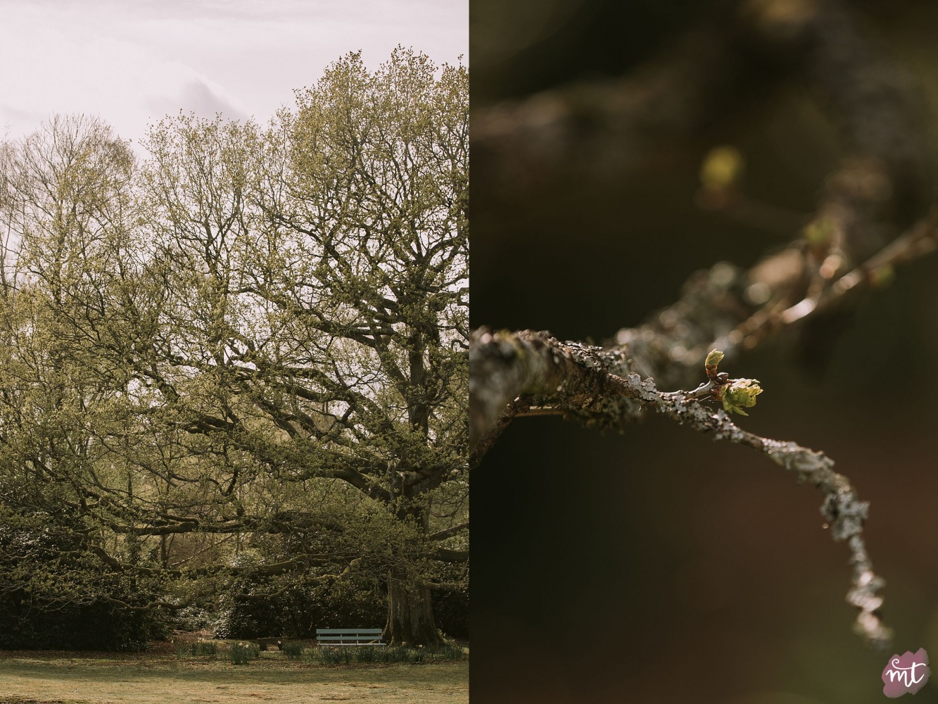 Seasons, Spring, Natural Light, UK Photographer, Real Life, Mother Nature