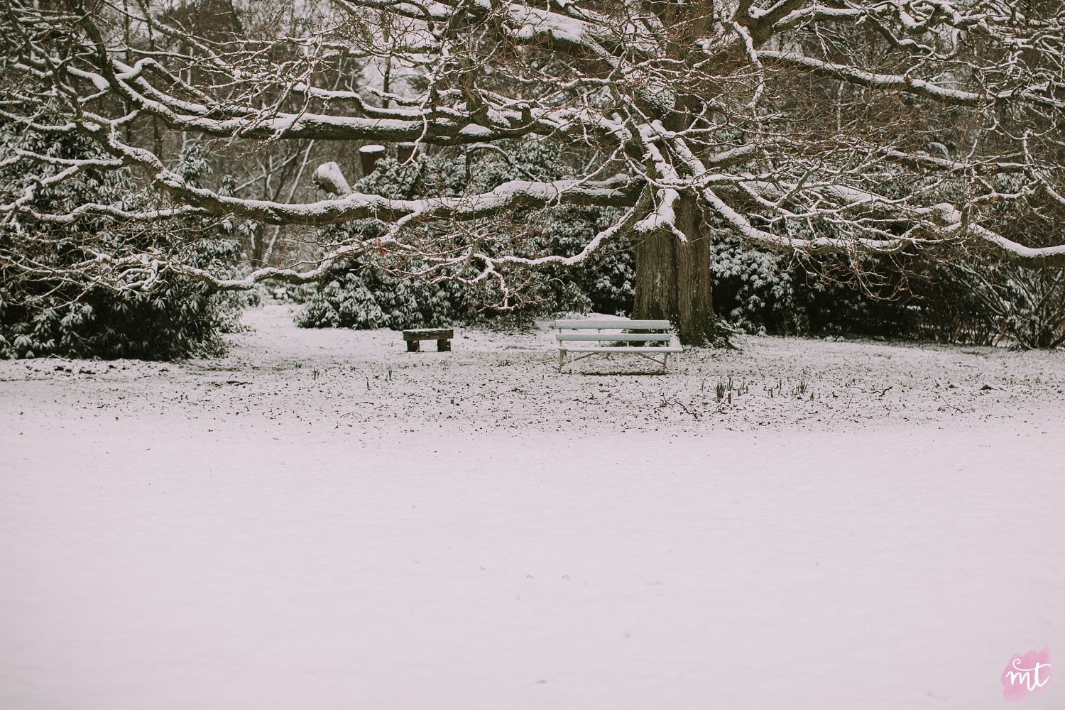 Seasons, Winter, Natural Light, UK Photographer, Real Life, Mother Nature, Snow, Winter Wonderland, Seasons: Spring, Summer, Autumn Winter English countryside