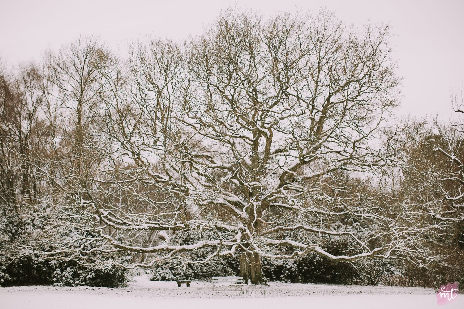 Seasons, Winter, Natural Light, UK Photographer, Real Life, Mother Nature, Snow, Winter Wonderland